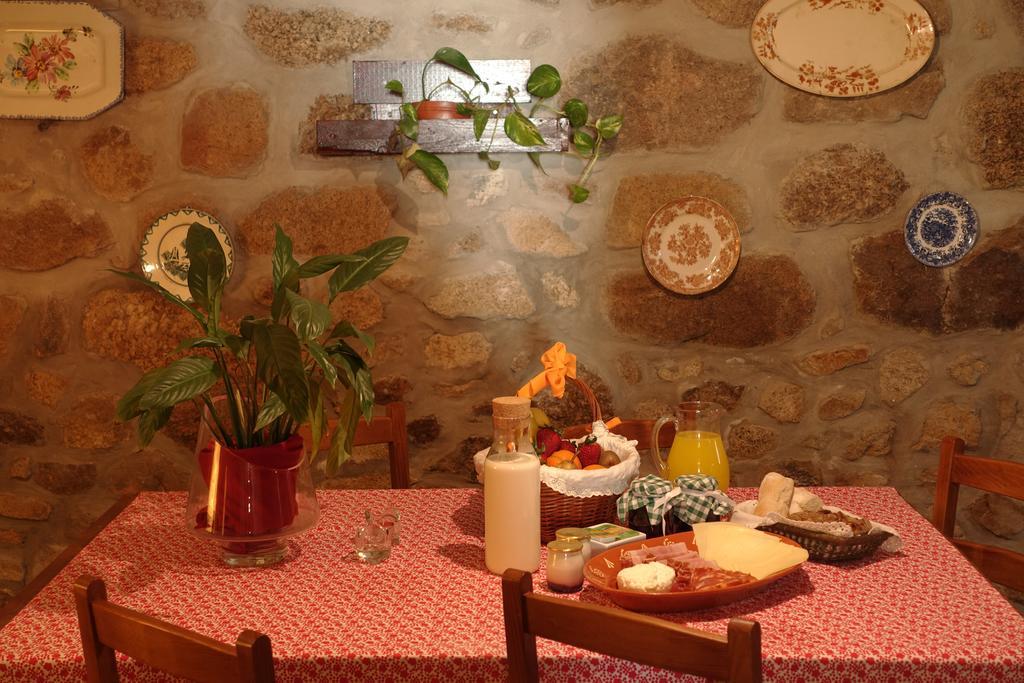 Casas Da Fonte - Serra Da Estrela Seia Εξωτερικό φωτογραφία